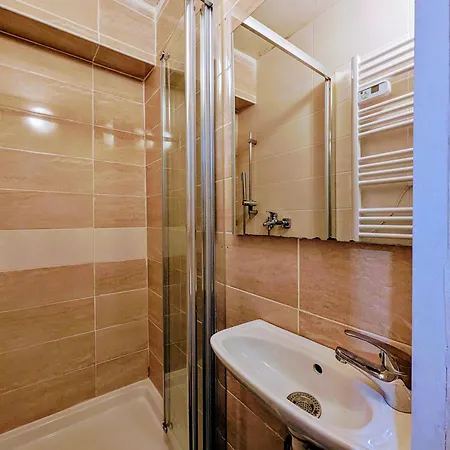 Spacious And Comfortable With Terrace In Downtown
